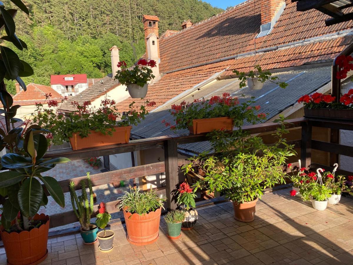 Victoria Gasthaus Rasnov - Charming Vacation House In Rasnov Exterior photo