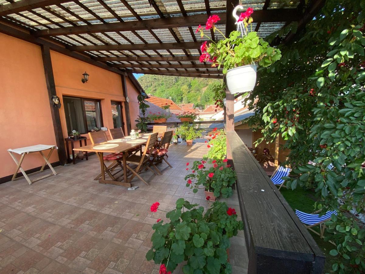 Victoria Gasthaus Rasnov - Charming Vacation House In Rasnov Exterior photo