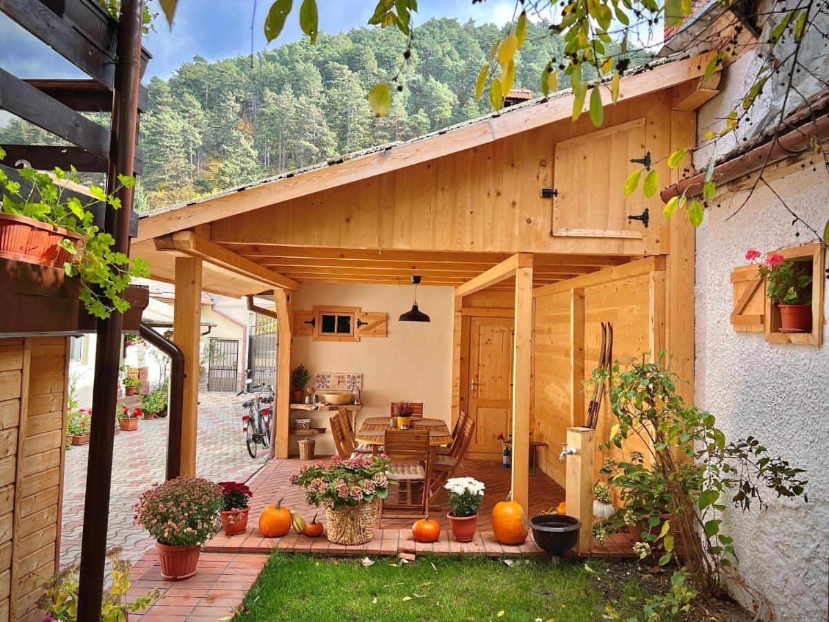 Victoria Gasthaus Rasnov - Charming Vacation House In Rasnov Exterior photo