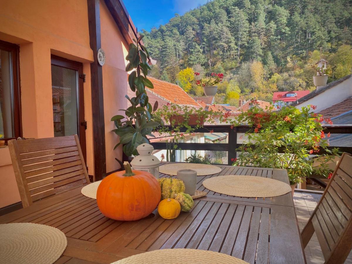 Victoria Gasthaus Rasnov - Charming Vacation House In Rasnov Exterior photo