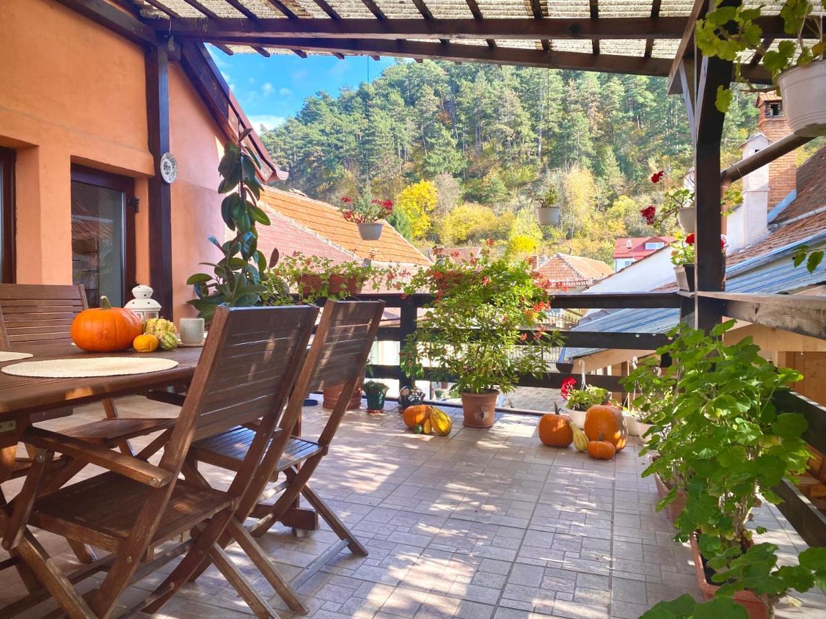 Victoria Gasthaus Rasnov - Charming Vacation House In Rasnov Exterior photo